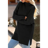 Solid Turtle Neck Loose Fit Long Sleeve Sweater